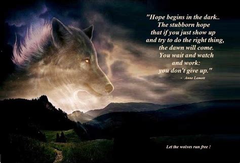 Dont Give Up Beautiful Wolves Wolf Photos Wolf Love