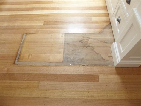 Floors Restoration Reviving Our Tasmanian Oak Timber Flooring