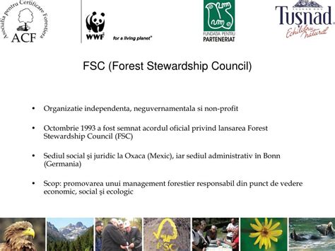 Ppt Sistemul De Certificare Fsc Forest Stewardship Council