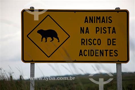 Que tal animar a pista de dança da sua festa com acessórios super divertidos? TYBA ONLINE :: Assunto: Placa de aviso informando a ...