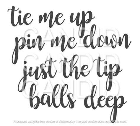 Tie Me Up Pin Me Down Just The Tip Balls Deep Humor Trendy Etsy