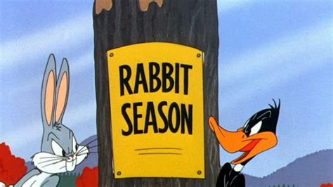 Rabbit Season Begins This Friday Wslm Radio