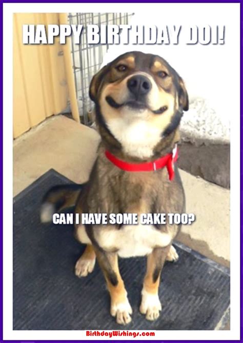 So, if you have a friend or family member with an upcoming birthday that appreciates, humor have a look at this list. Funny Happy Birthday Memes With cats, Dogs & Funny Animals