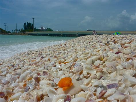 Blind Pass Beach In Florida Is The Best Place To Find Seashells