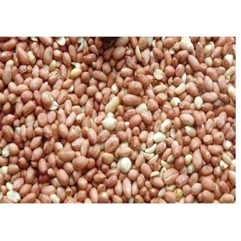 Fresh Groundnut At Rs 50kilogram Groundnut Raw Peanuts Blanched