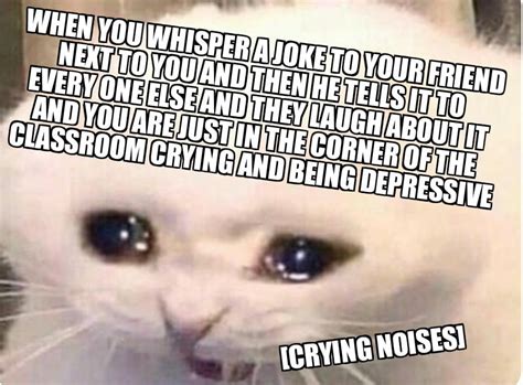 10 Cat Meme Face Crying Fwdmy