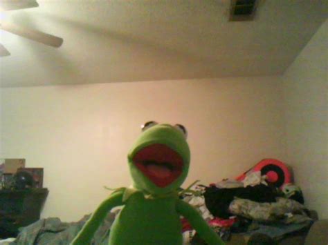 Hi Ho Kermit The Frog Here By Mollyketty On Deviantart