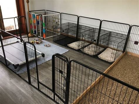 30 Best Indoor Dog Kennel Ideas Indoor Dog Kennel Dog Rooms Puppy Room