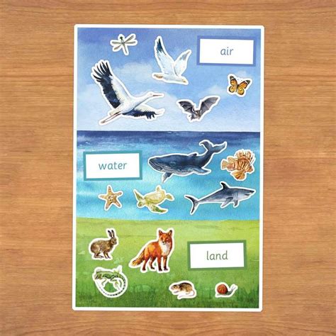 Air Water And Land Learning Mat Printable Pdf Kit Etsy Shadow