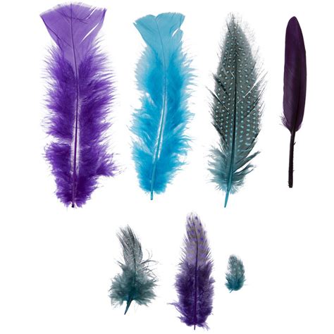 Turquoise And Purple Mix Feathers Hobby Lobby 1086396