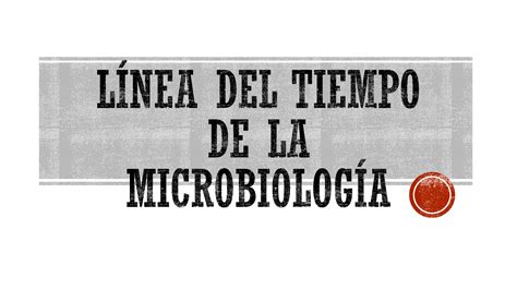 Solution Linea Del Tiempo De La Historia De La Microbiolog A Studypool