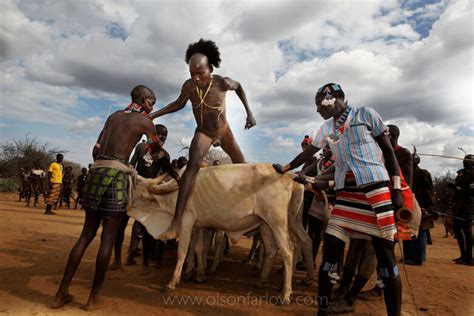 Tribes Bull Jumping Manhood Ceremoney Hamar And Karo In Ethiopia