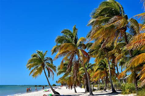Swaying Palm Trees At The Beach In Key West Florida Encircle Photos