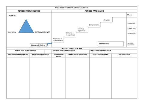 Formato De Historia Natural De La Enfermedad Monica Crawzton Olaya Udocz