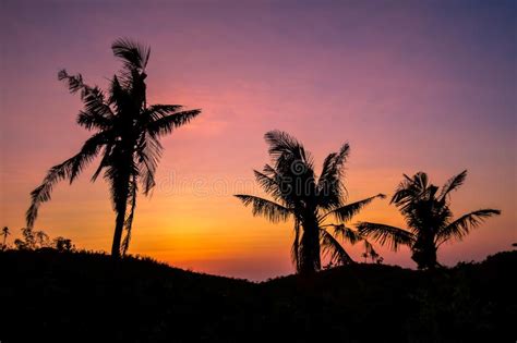 Beautiful Pink And Blue Sunset With Silhouette Of Palm Trees Stock