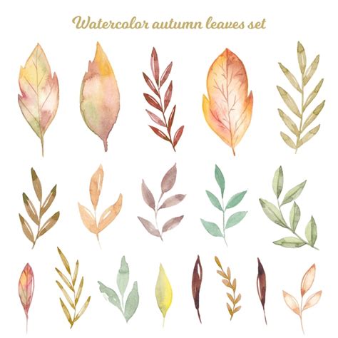 Premium Vector Watercolor Autumn Hand Draw Leaves