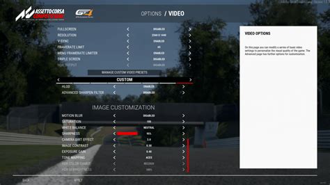 Assetto Corsa Competizione Beginner S Setup Guide
