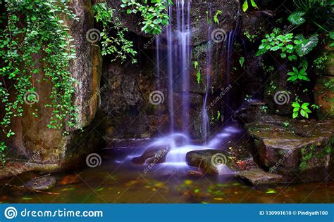Beautiful Tropical Waterfalls In Garden Stock Photo Image Of Water