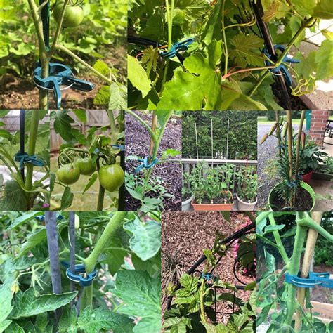 Plant And Garden Clips Support Tomato Vegetable Trellis Twine Ties 100
