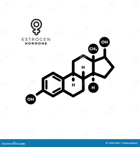 Estrogen Female Sex Hormone Molecule Isolated Vector Illustration