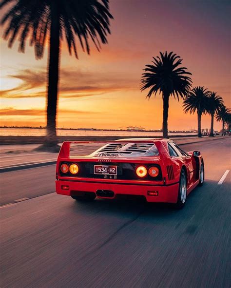 Sunset Drive Ferrari F40 Ferrari Car Ferrari
