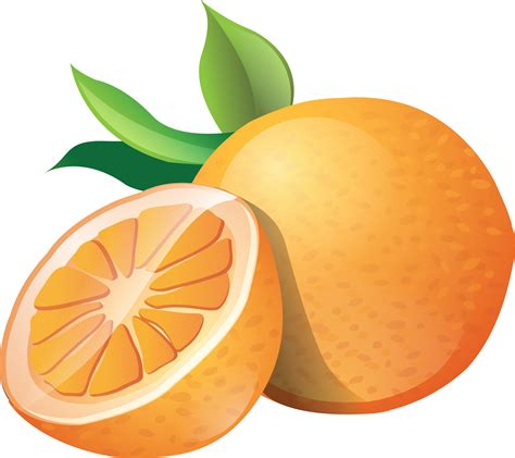 Oranges Png Image Purepng Free Transparent Cc0 Png Image Library