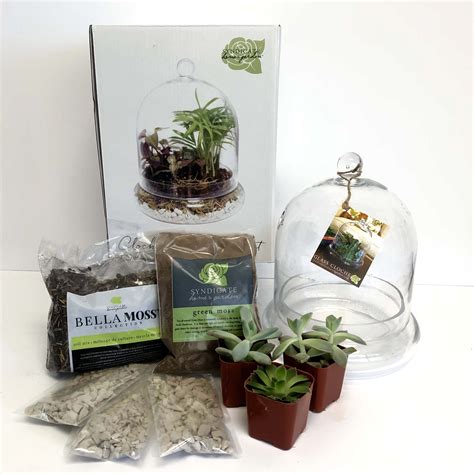 These diy kits include an assortment of succulents and houseplants for you to make your own sustainable terrarium system. DIY Terrarium Kit in Phoenix, AZ | PJs Flowers & Events