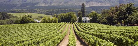 Visit Constantia On A Trip To South Africa Audley Travel