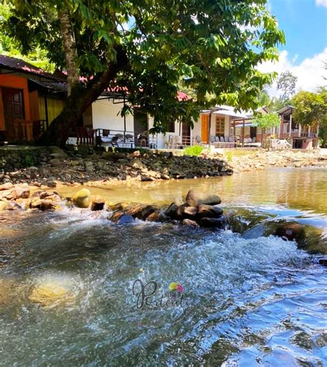 Seronoknya bila dapat bercuti dengan keluarga dalam kawasan perkampungan yang sunyi dan tenang. Depan Sungai Janda Baik, Chalet Ni Antara Yang Best Untuk ...
