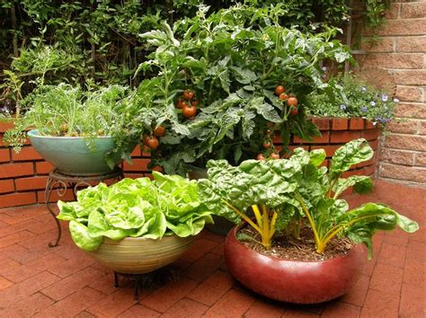 Kitchen Garden Ideas In Kenya Oxfarm