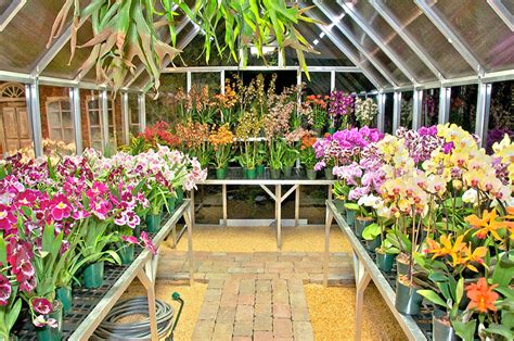 Orchid Greenhouse Climapod Greenhouse Kits