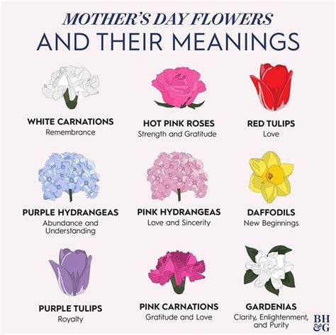 Mothers Day Flowers And Their Meaningss Are Shown In This Poster Which