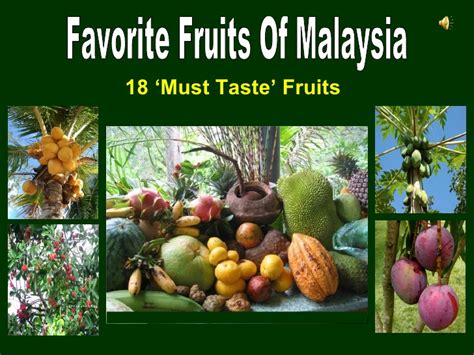 Challenges and opportunities arising from private standards on food safety and environment for exporters of fresh fruit and. Favorite Fruits Of Malaysia
