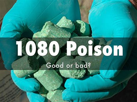 1080 Poison By Room 6 Halcombe School