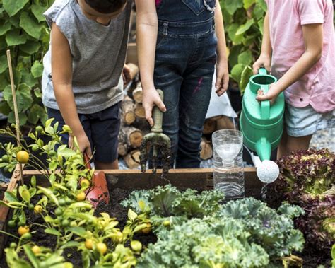 Grow Your Own Salad Bowl Yates Gardening