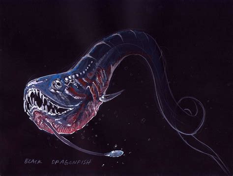 Tyler Chow Deep Sea Creatures Bioluminous Gouache