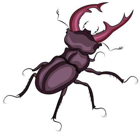 Stag Beetle Clipart Free Download Transparent Png Creazilla