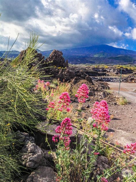 The volcano shaped the sicilian history and landscape and still affects the island today. Naples, Pompei and Sicily - Our Wander-Filled Life