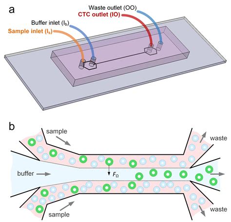 New Microfluidics Device Can Detect Cancer Cells In Blood