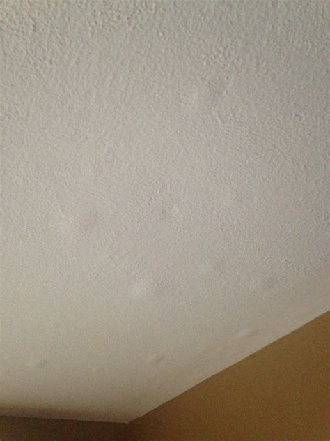 This is especially true of a drywall ceiling. Ceiling Water Damage Repair .........Guide, Preventing Mold