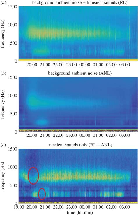 Eight Hour Spectrograms Of The Lower Frequency Component Of A