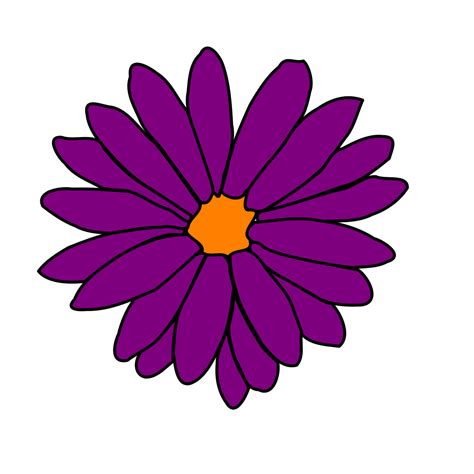Aster Flower Plant Png Image Png All