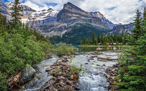 Download Wallpapers Mountain Landscape Forest Mountain Lake Canada