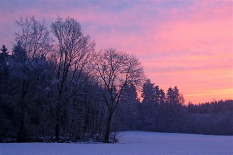 Free Images Tree Nature Branch Snow Winter Cloud Sunrise