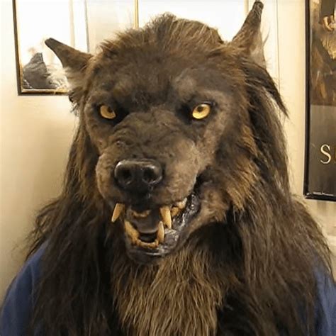 Werewolf Mask Costume Halloween Realistic Headwear Headwear Costume Masks Wolf Ebay