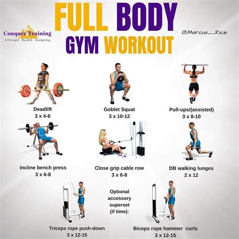 Full Body Gym Training Plan A Beginner S Guide Cardio Workout Routine