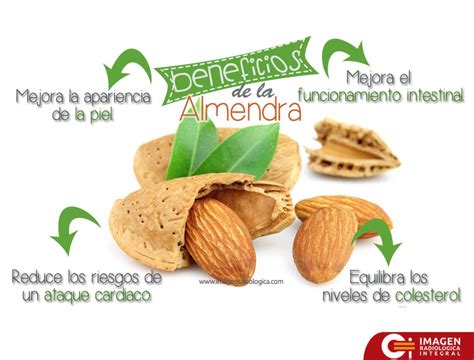 Beneficios De La Almendra