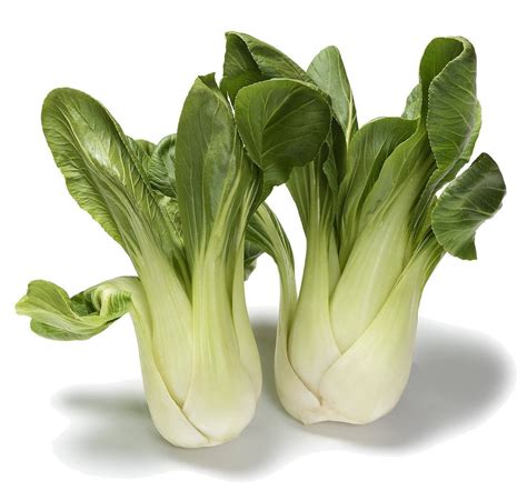 Best Organic Non Gmo Baby Bok Choy Seeds Buy Online The Living Seed