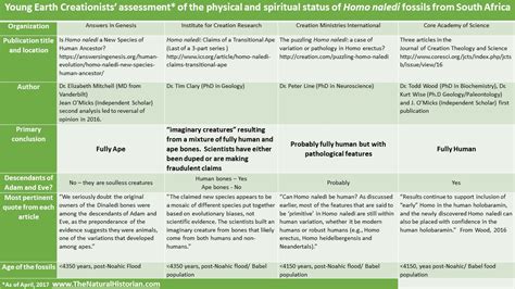 Die anatomie der knochen sowie die fundstelle selbst deuten darauf hin, dass es sich um einen verwandten des menschen handeln könnte. The Smithsonian gives Homo Naledi its own Species Page - Scientific Evidence - The BioLogos Forum