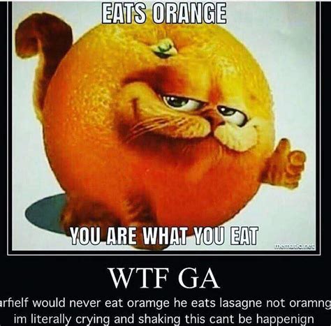 All Hail Lord Garfield Dank Memes Amino